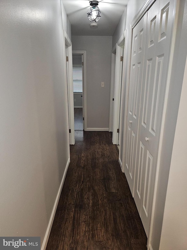 hall with dark hardwood / wood-style flooring