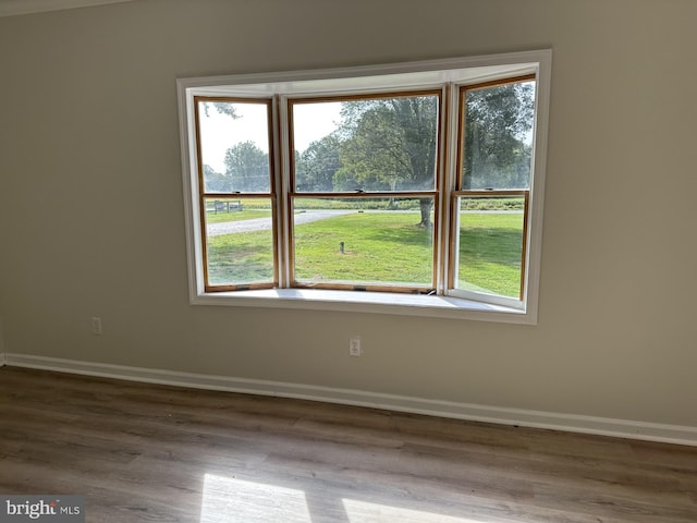 unfurnished room with a wealth of natural light and hardwood / wood-style floors