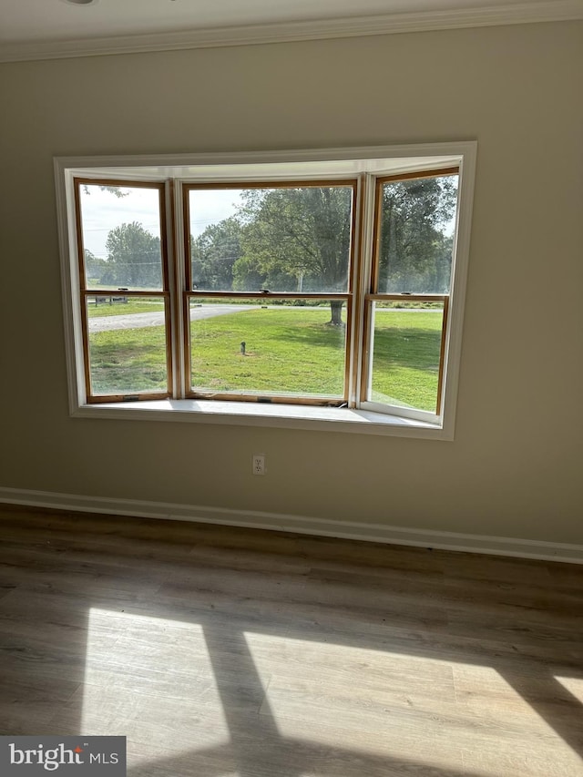 unfurnished room with crown molding and hardwood / wood-style floors