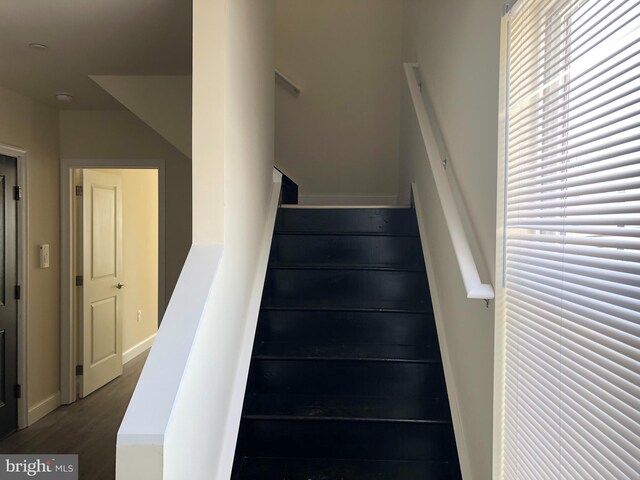 staircase featuring wood-type flooring