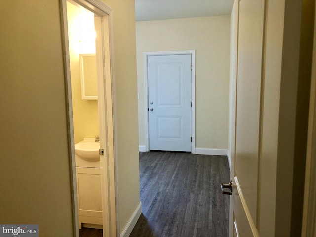 hall featuring dark hardwood / wood-style flooring and sink