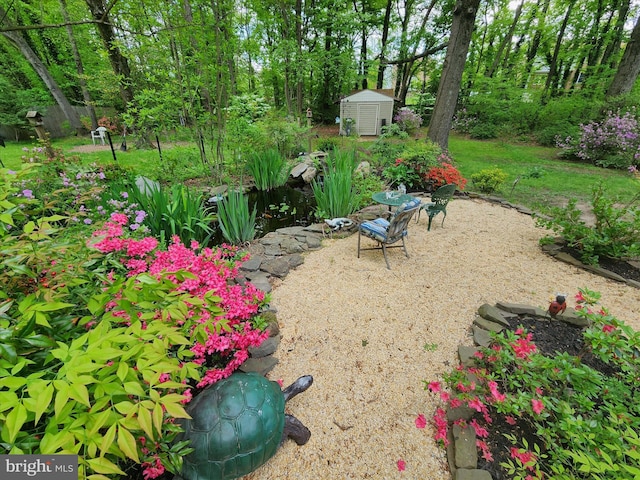 view of yard with a storage shed