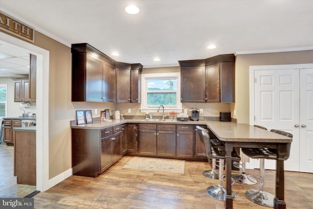 kitchen with dark brown cabinetry, ornamental molding, sink, and light hardwood / wood-style flooring