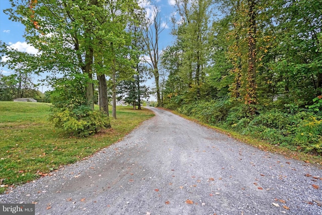 view of road