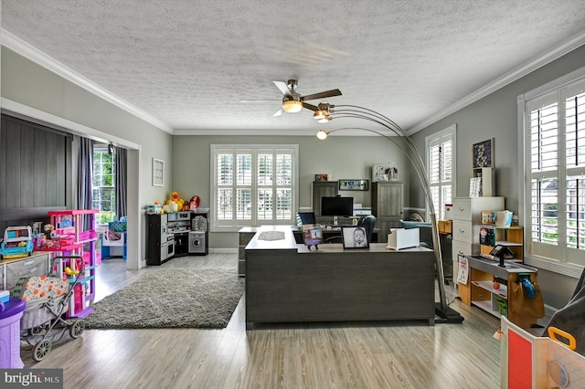 living room with a healthy amount of sunlight, ornamental molding, and light wood-type flooring