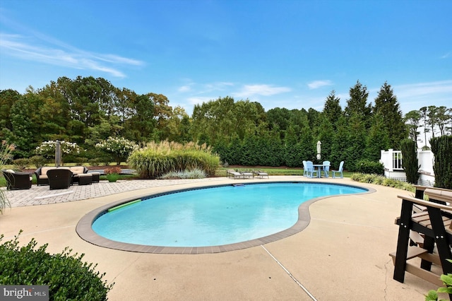 view of pool featuring a patio area