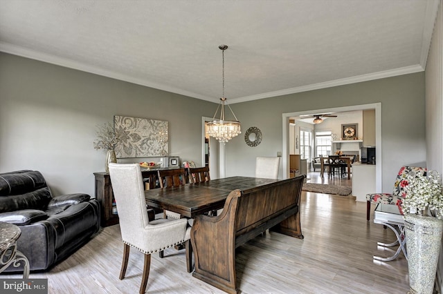 dining space with crown molding, ceiling fan with notable chandelier, and light hardwood / wood-style floors