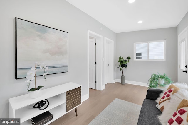 living room featuring light hardwood / wood-style flooring