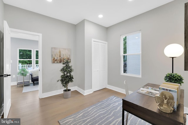 home office featuring wood-type flooring