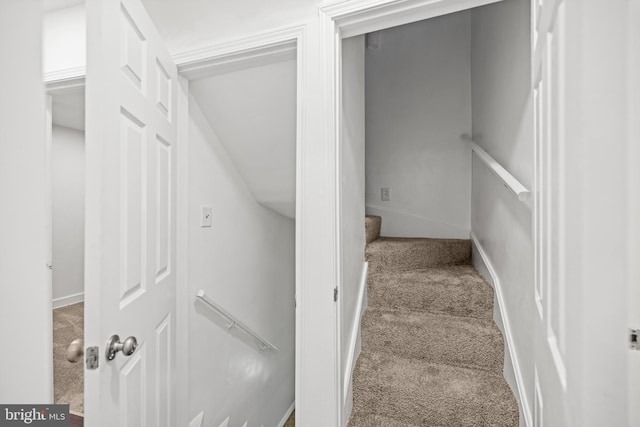 stairway with carpet and lofted ceiling