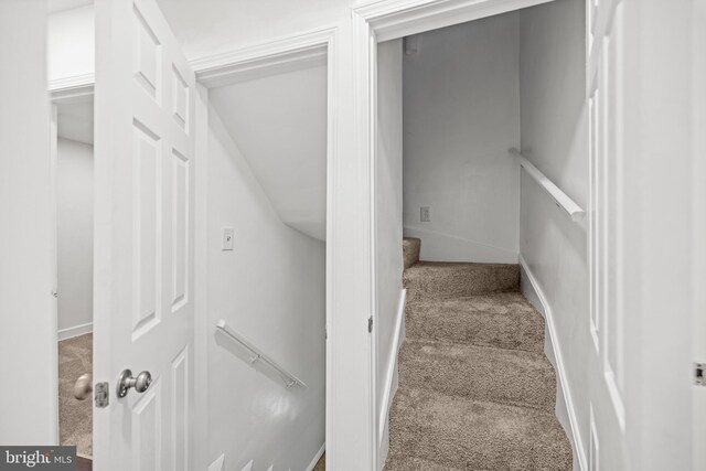 7213 Tyler Ave, Falls Church, VA 22042 - staircase featuring baseboards and carpet floors