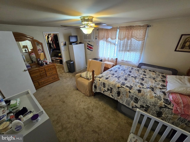 carpeted bedroom with a closet, ceiling fan, and a walk in closet