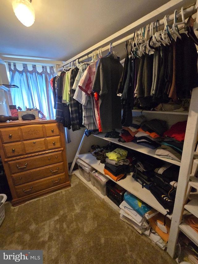 walk in closet with carpet flooring