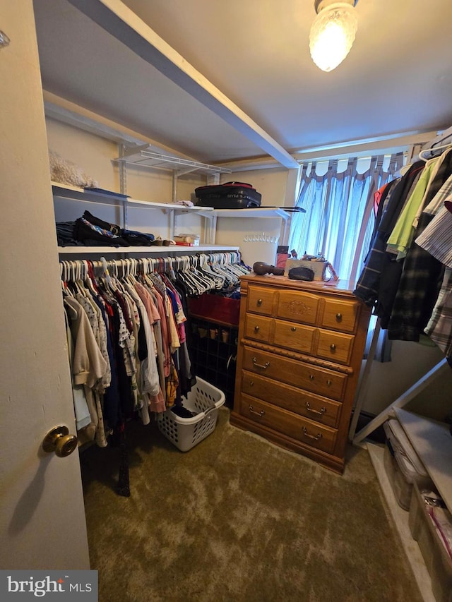 walk in closet featuring dark carpet