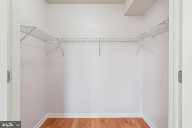 spacious closet with wood-type flooring