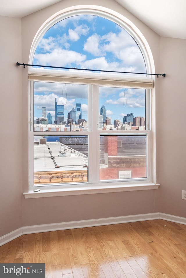 room details with hardwood / wood-style floors