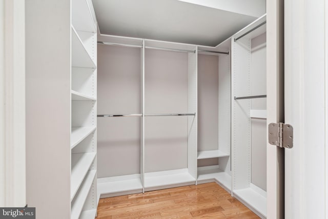 walk in closet with wood-type flooring