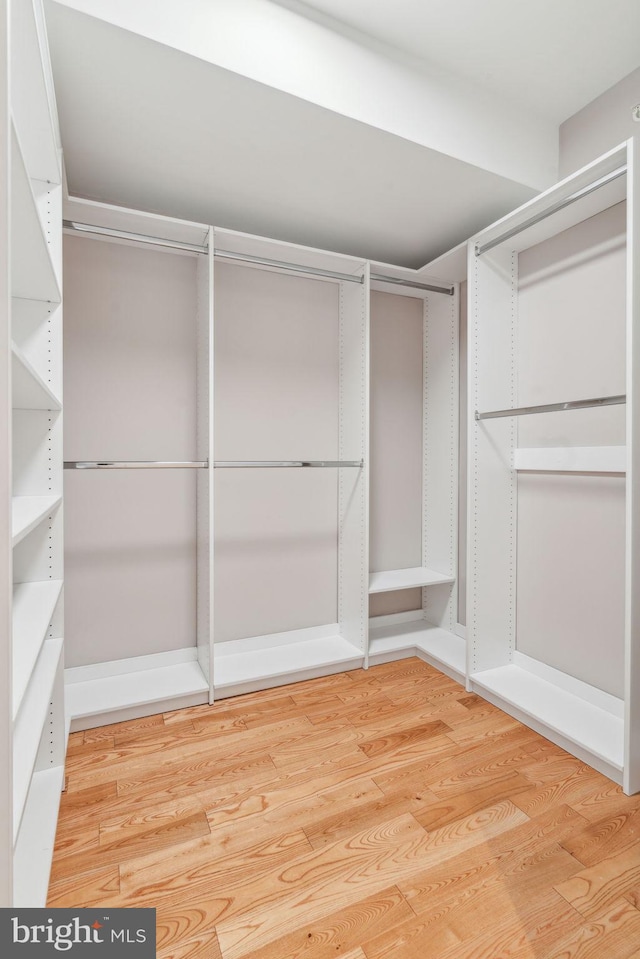 walk in closet featuring hardwood / wood-style flooring