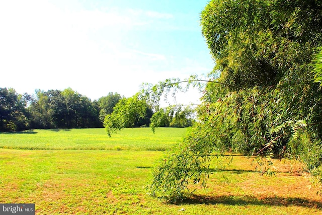 view of yard featuring a rural view