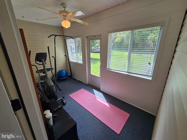 910 Sapphire Ct, Salisbury, MD 21804 - workout room with dark carpet, ceiling fan, wood ceiling, and wood walls