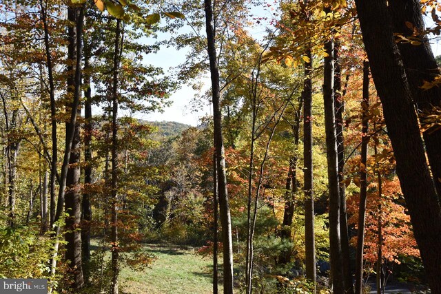 view of landscape