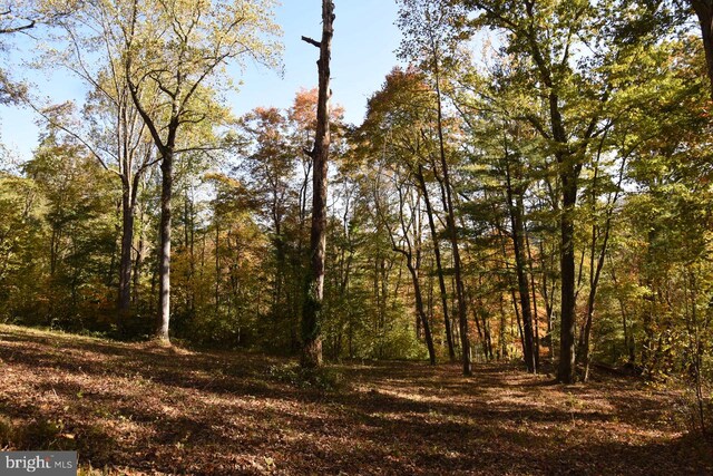 view of landscape