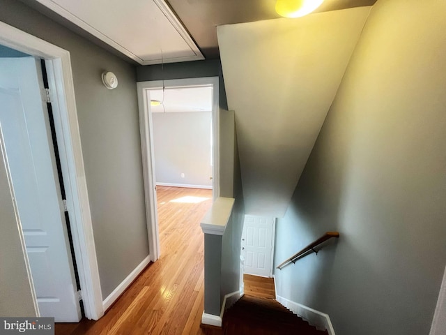 staircase with hardwood / wood-style floors