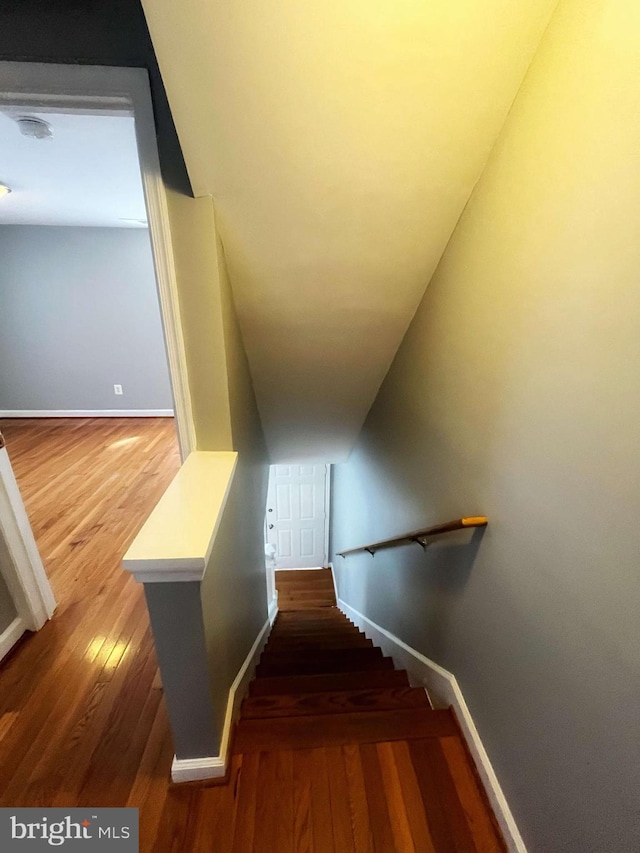 stairway featuring hardwood / wood-style flooring