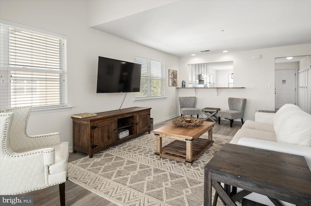 living room with hardwood / wood-style flooring