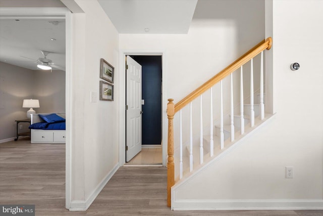 entrance foyer with light wood-type flooring and ceiling fan