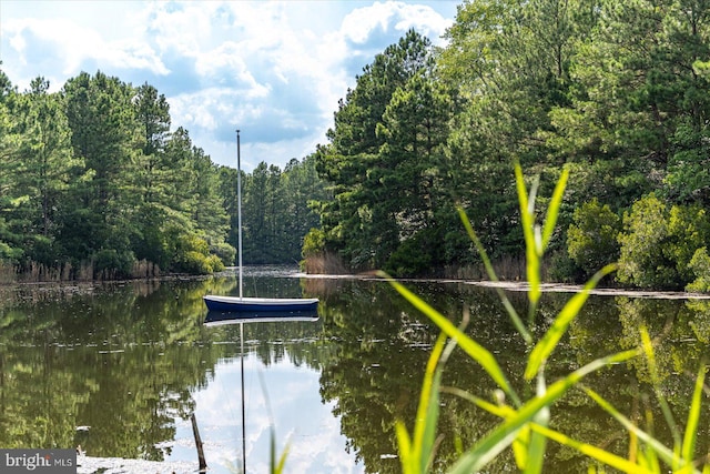 property view of water