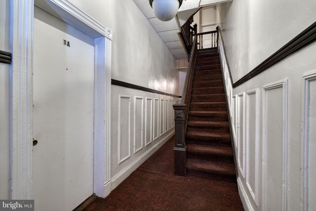 stairs with carpet floors