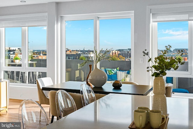 dining room featuring hardwood / wood-style floors