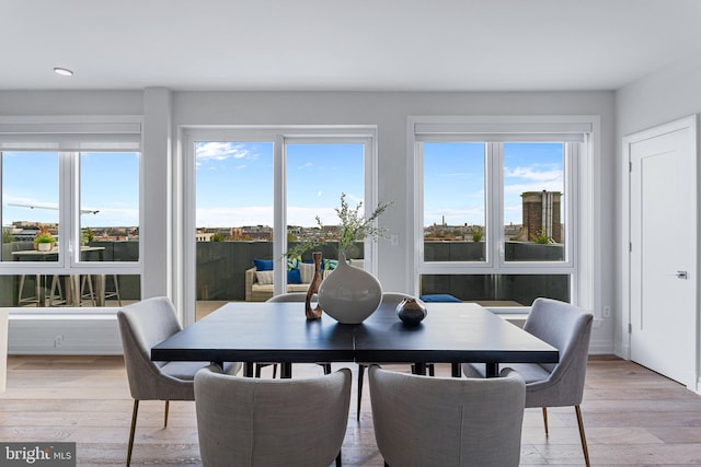 dining area with light hardwood / wood-style flooring and a wealth of natural light