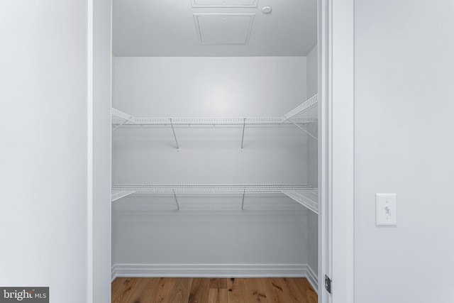 spacious closet featuring hardwood / wood-style flooring