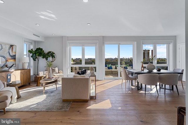 living room featuring dark hardwood / wood-style flooring