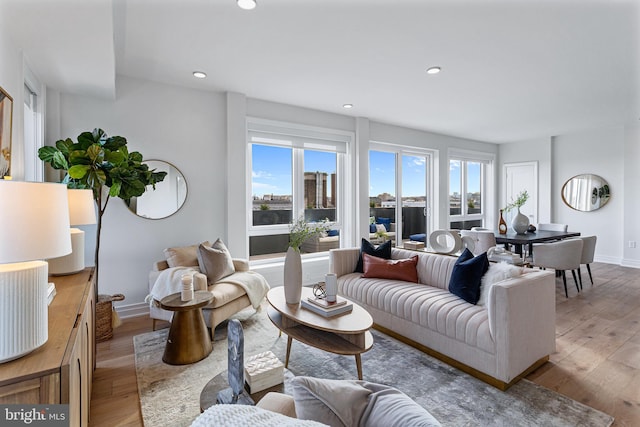 living room with light wood-type flooring