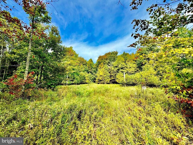 TBD Knobtown Rd, Belington, WV 26250