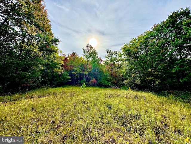 TBD Knobtown Rd, Belington, WV 26250