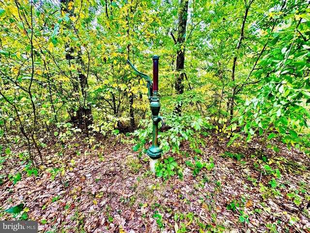 TBD Knobtown Rd, Belington, WV 26250
