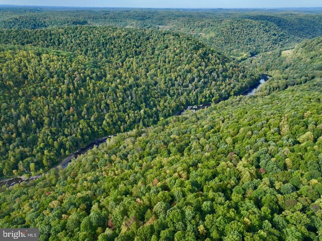 TBD Knobtown Rd, Belington, WV 26250