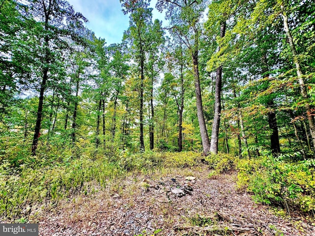 TBD Knobtown Rd, Belington, WV 26250