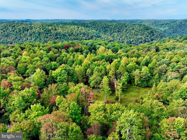 TBD Knobtown Rd, Belington, WV 26250