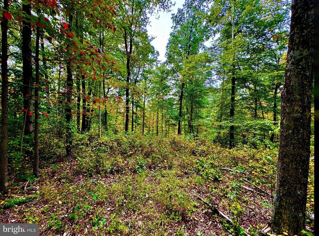 TBD Knobtown Rd, Belington, WV 26250