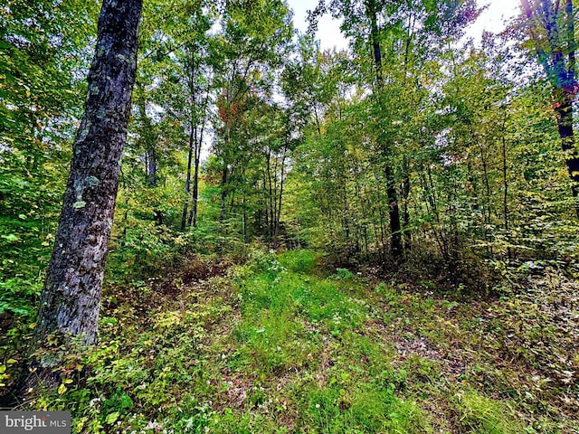TBD Knobtown Rd, Belington, WV 26250