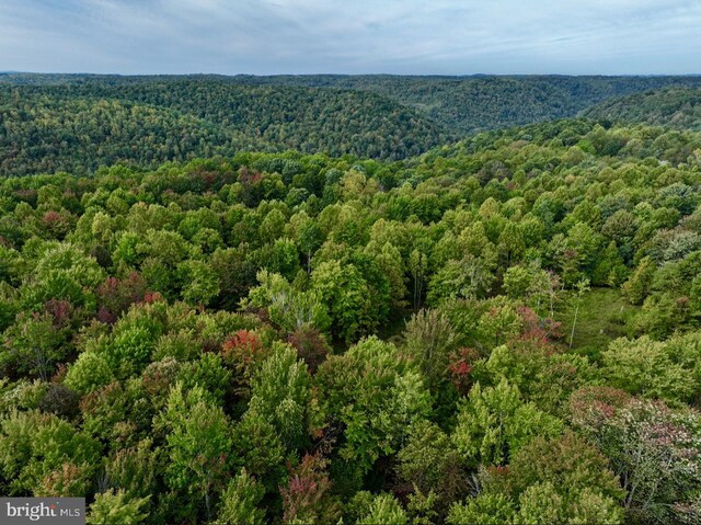TBD Knobtown Rd, Belington, WV 26250
