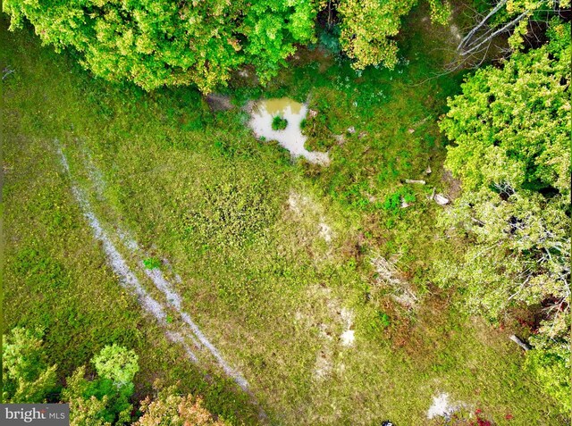 TBD Knobtown Rd, Belington, WV 26250