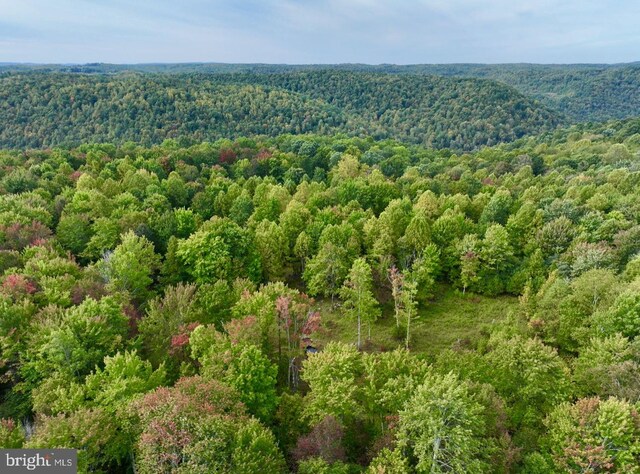 TBD Knobtown Rd, Belington, WV 26250