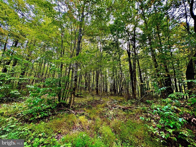 TBD Knobtown Rd, Belington, WV 26250