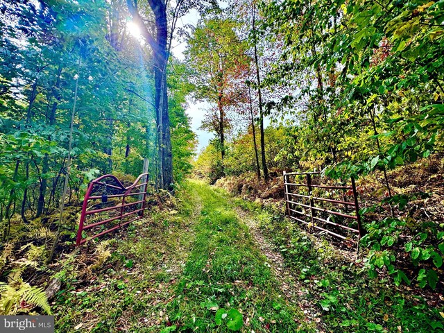 TBD Knobtown Rd, Belington, WV 26250